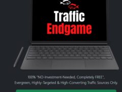 Traffic Endgame