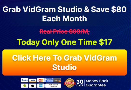 VidGram Studio 3