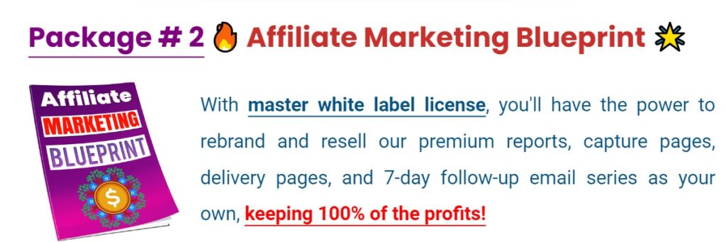 PLR - 3 Exclusive White Label Affiliate Packages 2