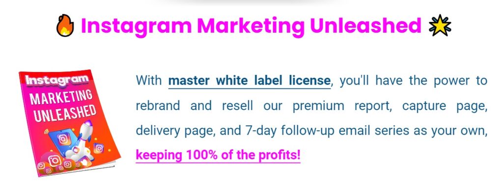 PLR - InstaGram Marketing Unleashed 1